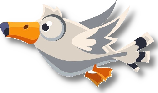 bird